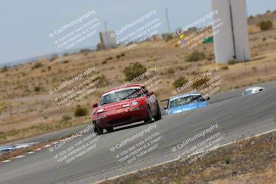 media/May-03-2025-Lucky Dog Racing (Sat) [[206de64b9d]]/Turn 6 (150pm-230pm)/